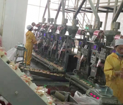 豆奶粉袋中袋生產(chǎn)線(xiàn) Soy milk powder bag-in-bag production line